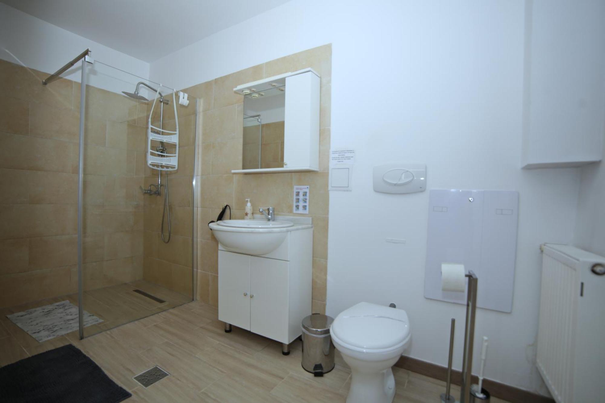 Casa Baciu 3*