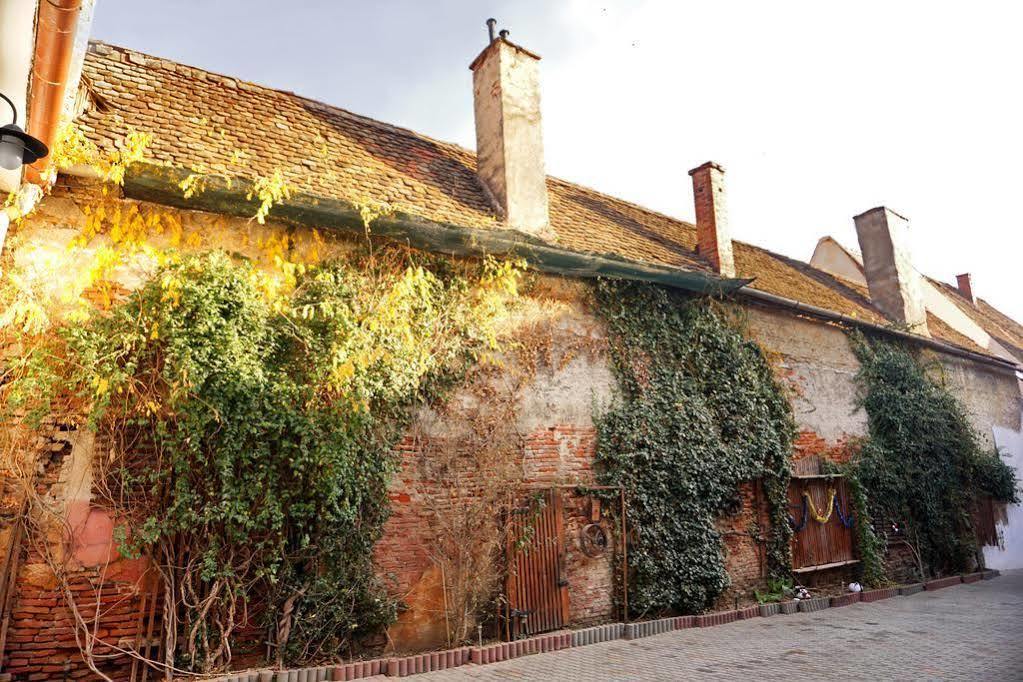 Guest house Casa Baciu